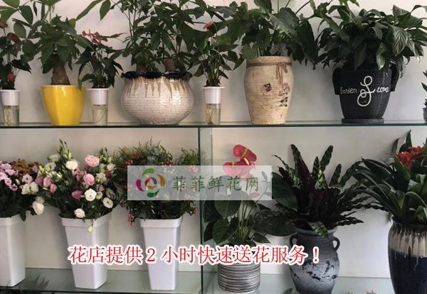 临汾隰县花店提供临汾隰县2小时快速送花服务